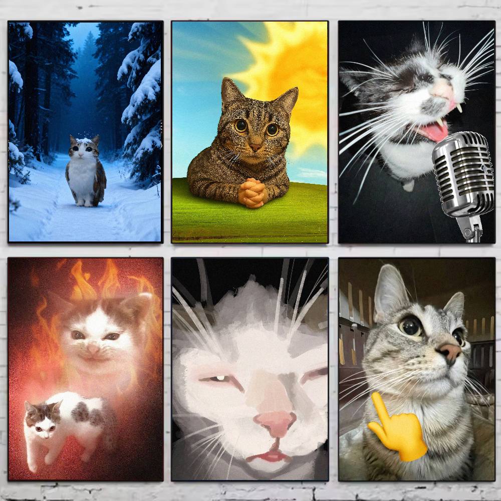 Póster MEME de Gato, Divertido - Luxury Lifestyle Wallpaper reseña y precio